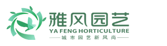 西安绿植租摆,西安绿植租赁,西安花卉租摆,绿植租摆,办公室绿植租摆 - 西安雅风园艺