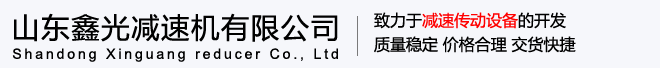 丝杆升降机-不锈钢丝杆升降机-非标定制丝杆升降机厂家-山东鑫光减速机有限公司