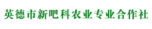 红茶，绿茶，英红九号，英德红茶,英德绿茶，英德英红九号_英德市新吧科农业专业合作社