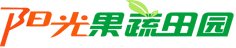 阳光果蔬田园