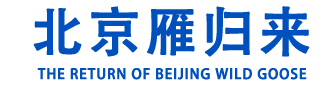 活性氧化铝,活性氧化铝干燥剂,活性氧化铝吸附剂,分子筛,分子筛厂家-北京雁归来环保科技有限公司