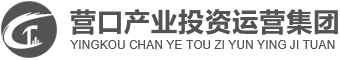 营口产业投资运营集团有限公司