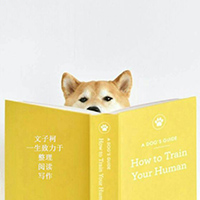 文子柯|一生致力于整理，阅读，写作-Good Luck To You!